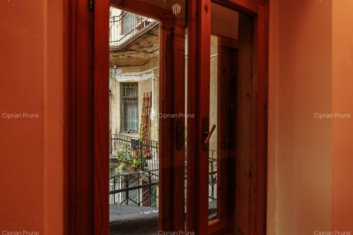 Apartament cu terasa si boxa, in Palatul Adolf Hanecker | Mal Bega - 47