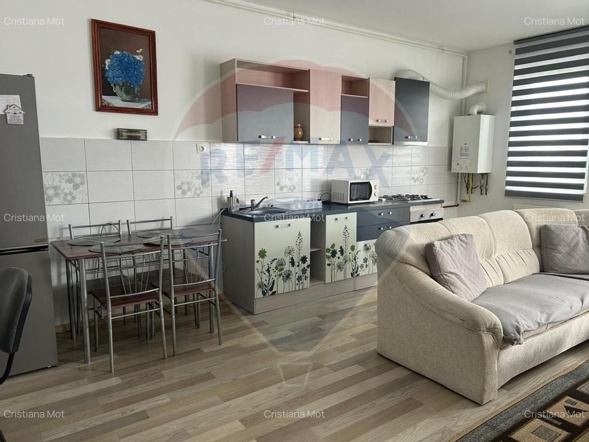 De inchiriat apartament 2 camere - RED 21, Arad - 17