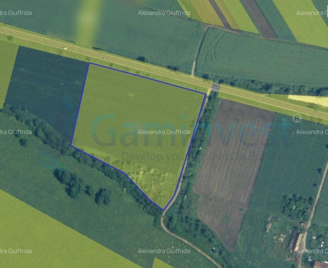 GaminvestTeren intravilan 2 ha  in Pecica la DN7, judetul Arad, Romania,v4363 - 1