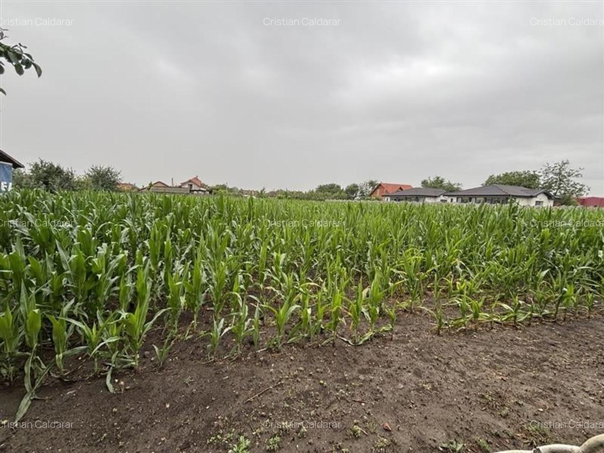 Casa Diosig - teren 1438 mp - front stradal  19 m - 6