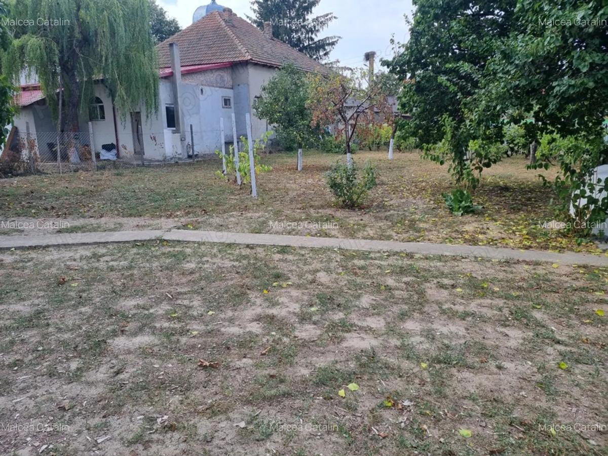 Vand schimb casa aproape de Dunare, muntii Macinului, zona viticola - 7