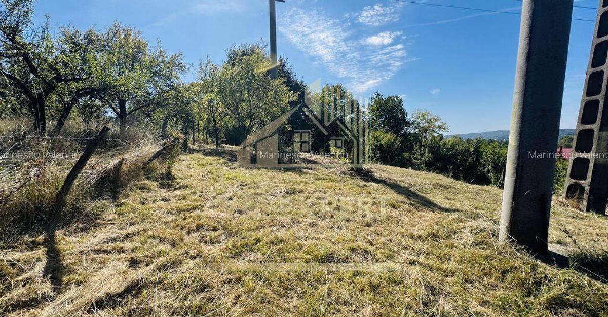 TEREN INTRAVILAN 3234 MP LERE?TI VOINE?TI ARGE? - 17