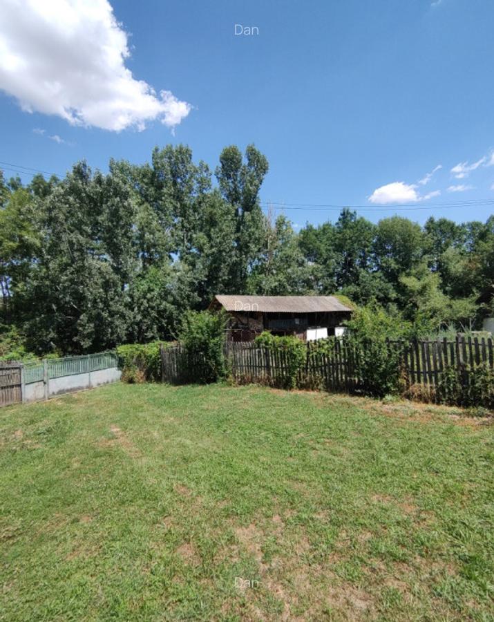 Casa la tara 85mp, Anexe, teren 4098mp, Recea, Sat Deagu de Jos, Arges - 11