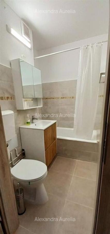 Apartament 2 camere Piata Victoriei - 10
