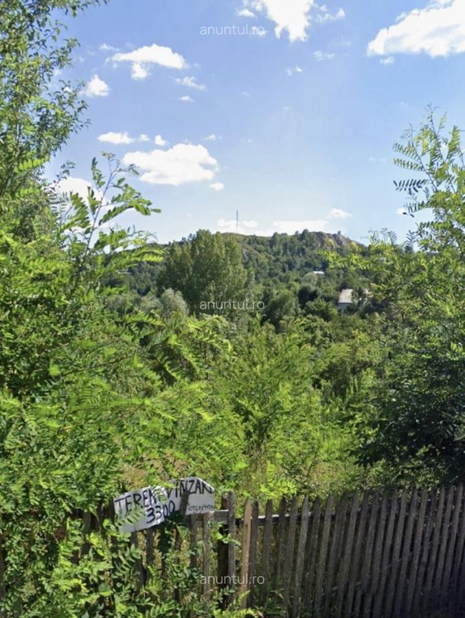 Sotrile, Valea Doftanei - 2