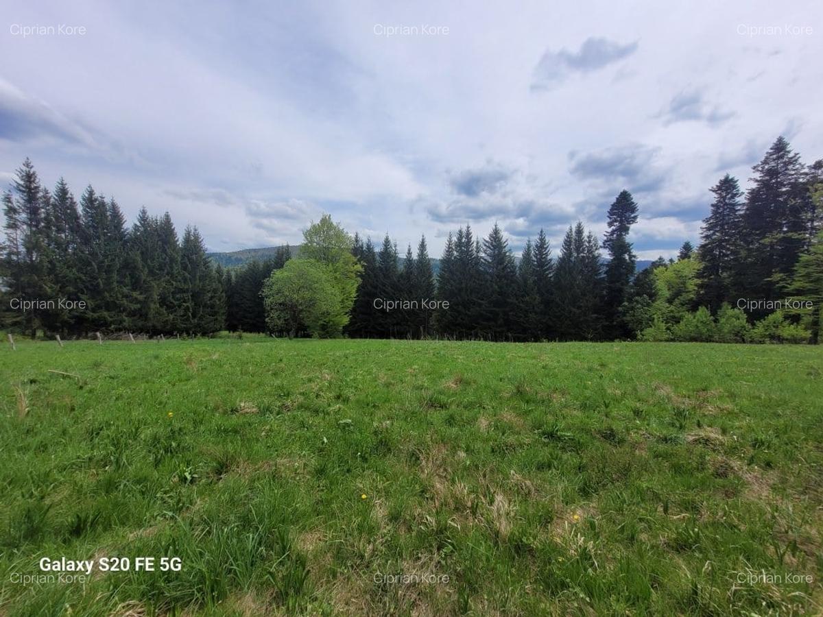 Teren Construcții intravilan de 2300 mp, în Palanca - 2