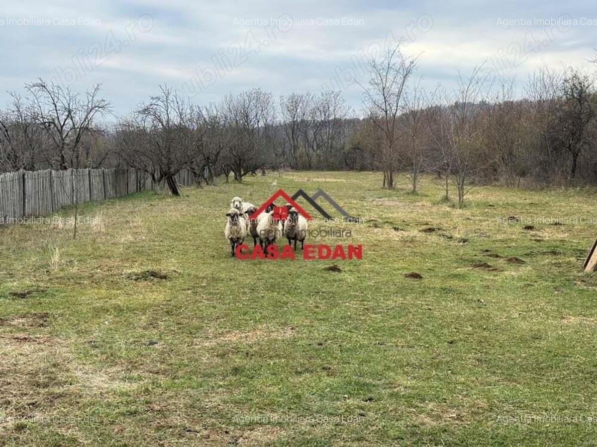 Teren intravilan in Brebu--2080mp--22e - 1