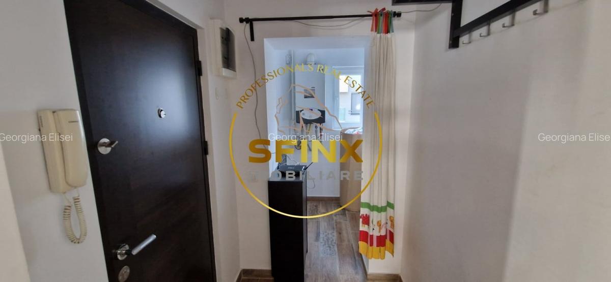 Apartament 3 Camere Aviatorilor - 9