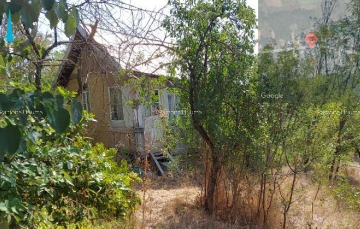 Teren si constructie-Com. Cernatesti, jud. DOLJ, - 4