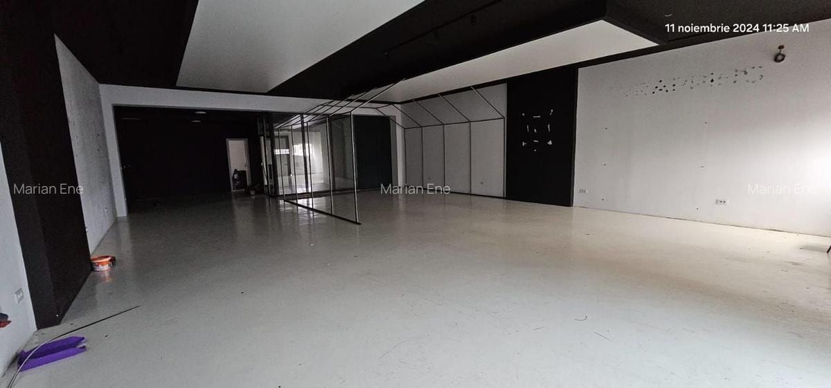 Vanzare/Inchiriere - Hala productie si depozitare,  Bd. George Cosbuc - 4