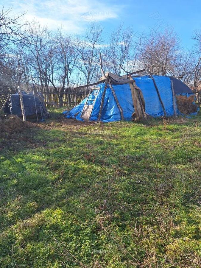 Casa de vanzare,Sacosu mare,6000m2,acte la zi,zona foarte linistita - 4