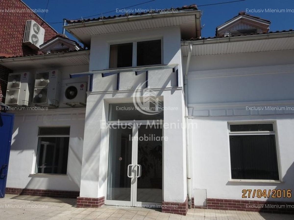 Stefan cel Mare / Comerciale/Birouri/ Hala industriala - 4