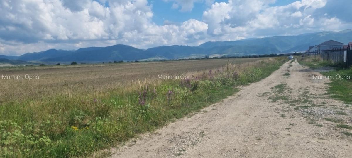 Teren intravilan 480mp,cu autorizatie de constructie,  spre vanzare in Cristian - 1