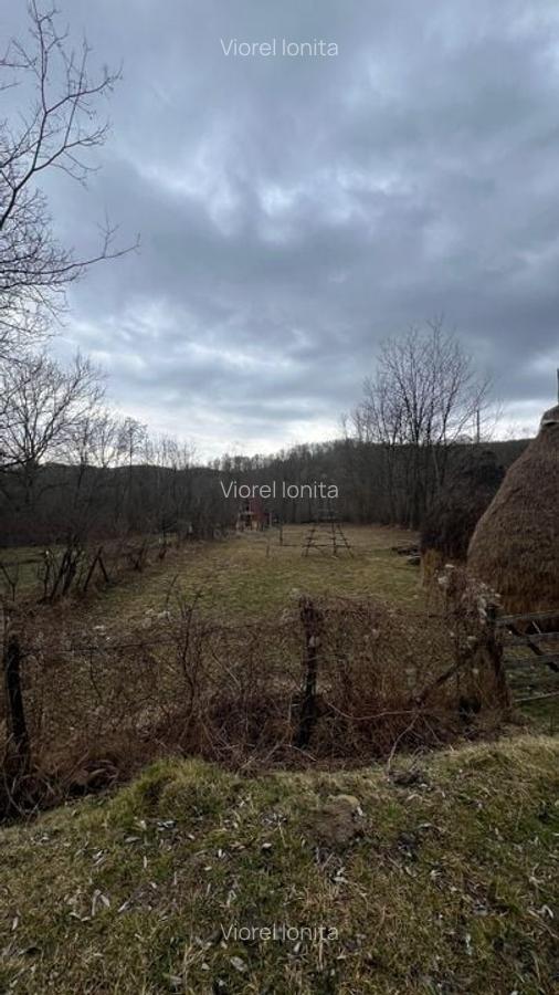 Teren Construcții intravilan de 3782 mp, în Aluniș - 4