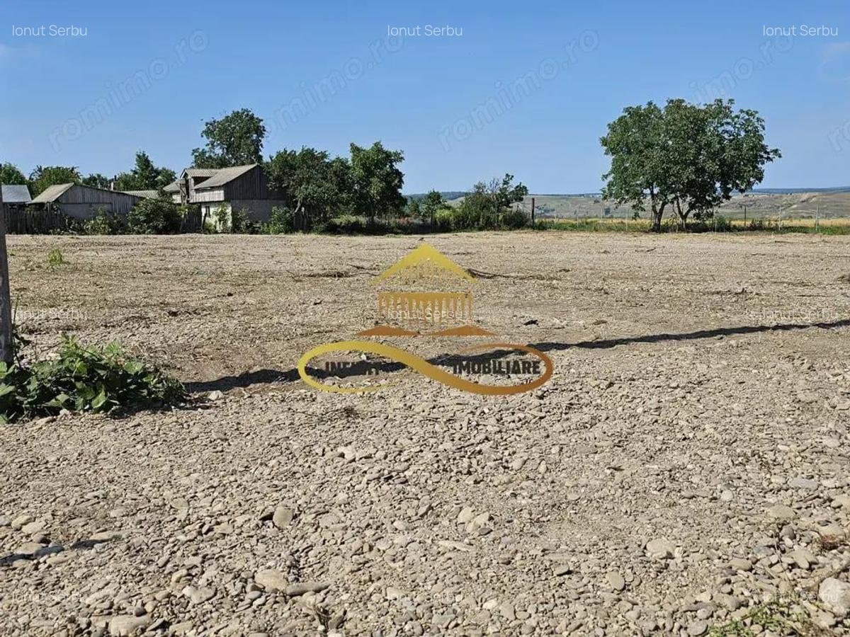 Teren la strada principala - E85 - DE INCHIRIAT - OFERTA! - 1