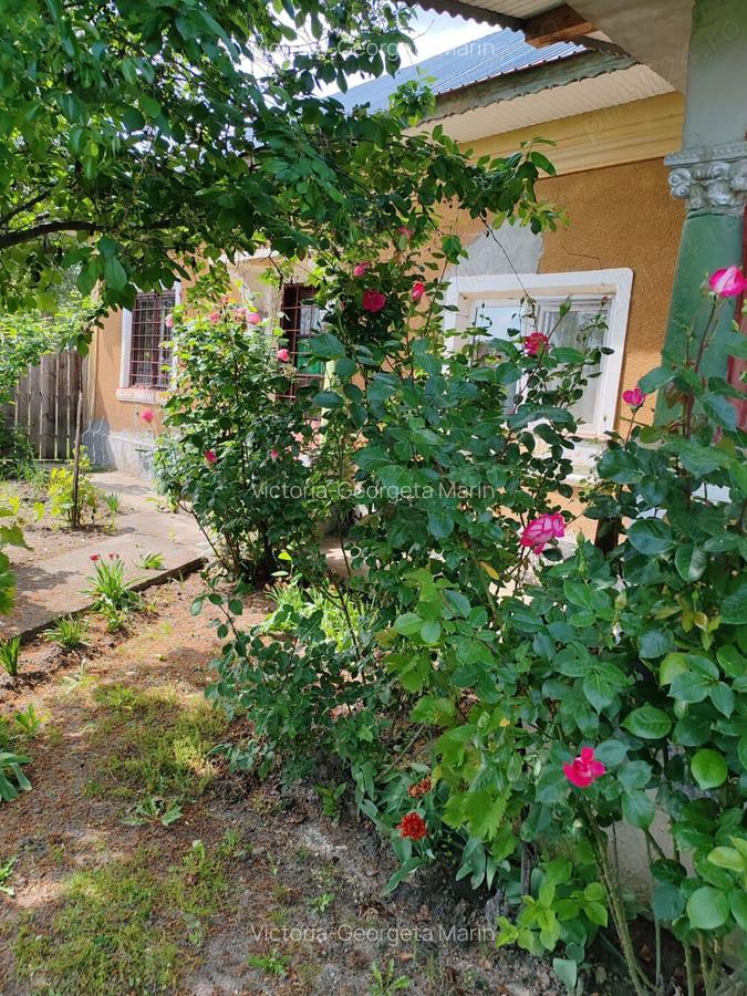 Teren cu casa batraneasca de vanzare - 3