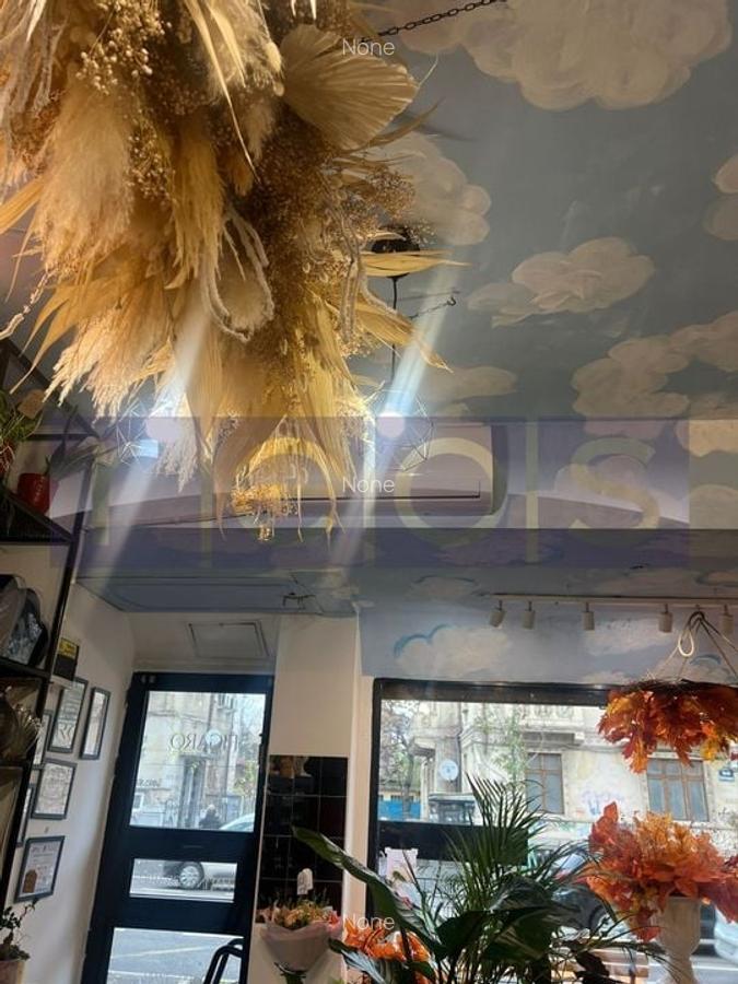 VANZARE SPATIU COMERCIAL | STRADAL | PACHE PROTOPOPESCU | 36MP | - 3
