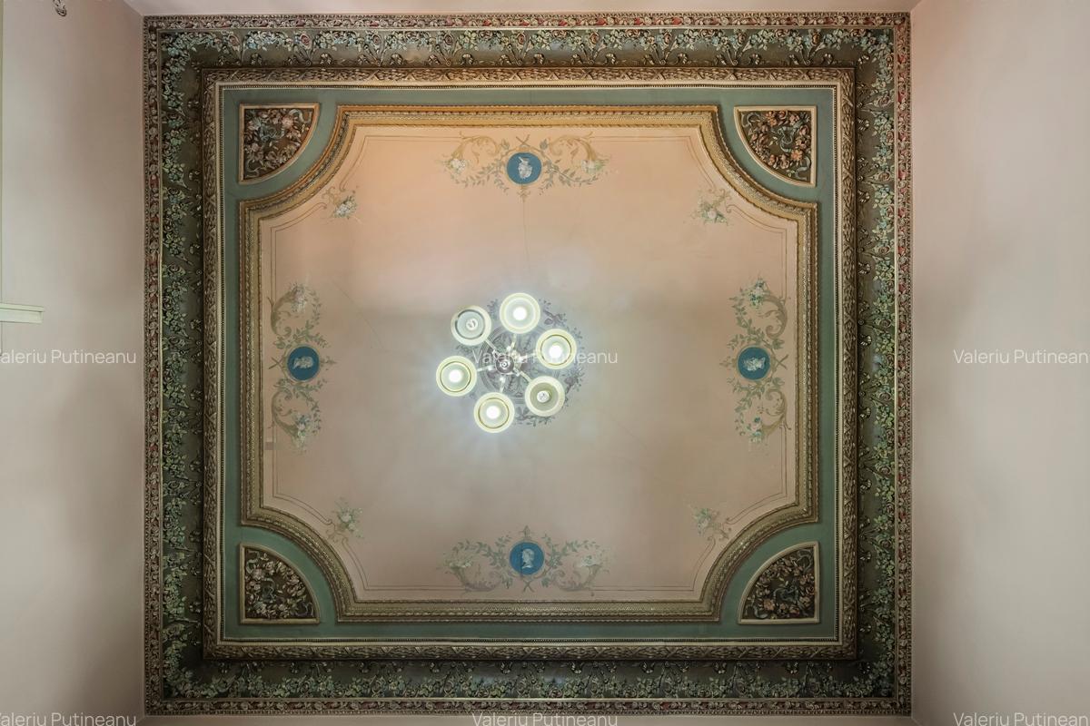 Vilă / Palat / Investiție zonă Universitate - 8