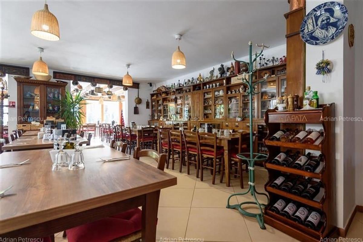 Langa Castelul Bran: Pensiune + restaurant + transfer afacere activa - 15