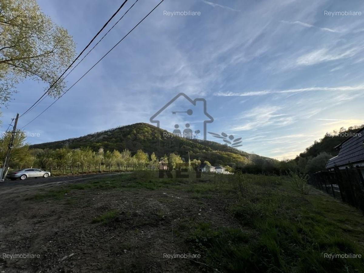 Teren la poalele Cetății Cisnadioarei de vânzare/1250 mp - 9