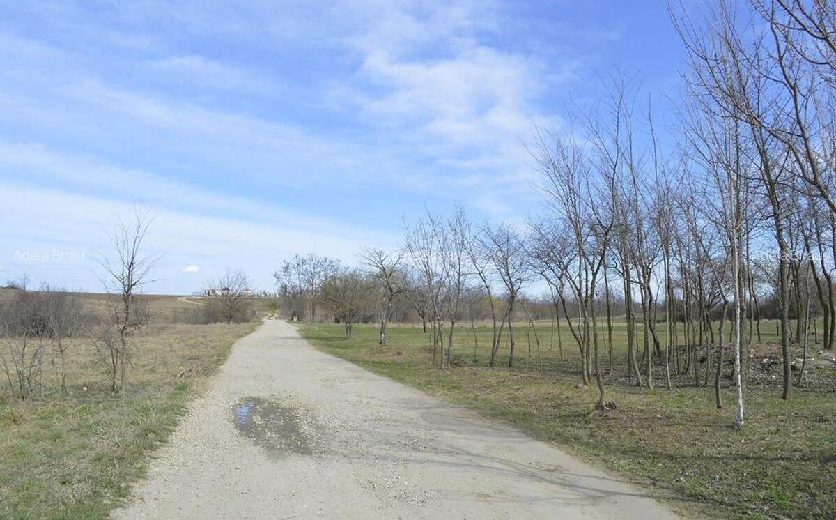 Suseni - Teren intravilan rezidential, suprafata 4000 mp - 1