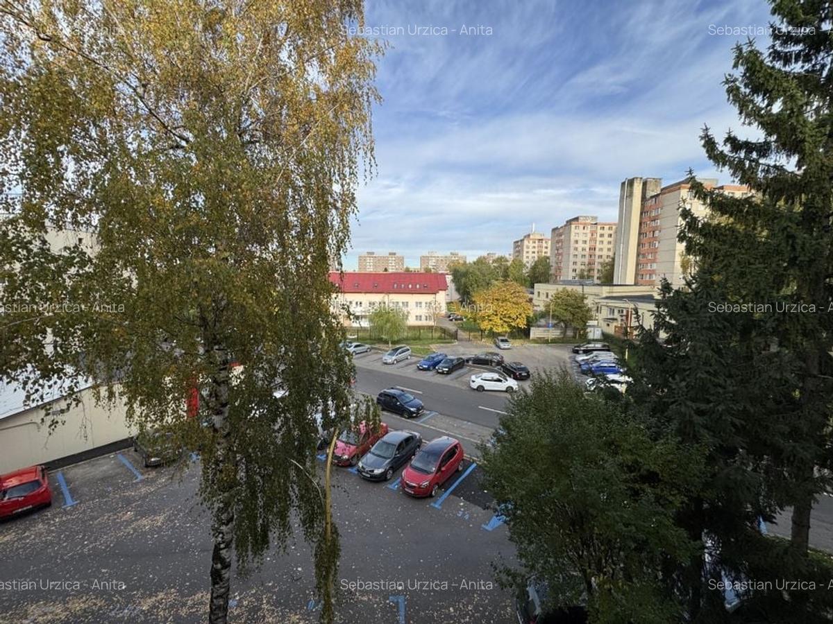 Apartament cu 3 camere in Astra, str Barbu Lautaru - 7