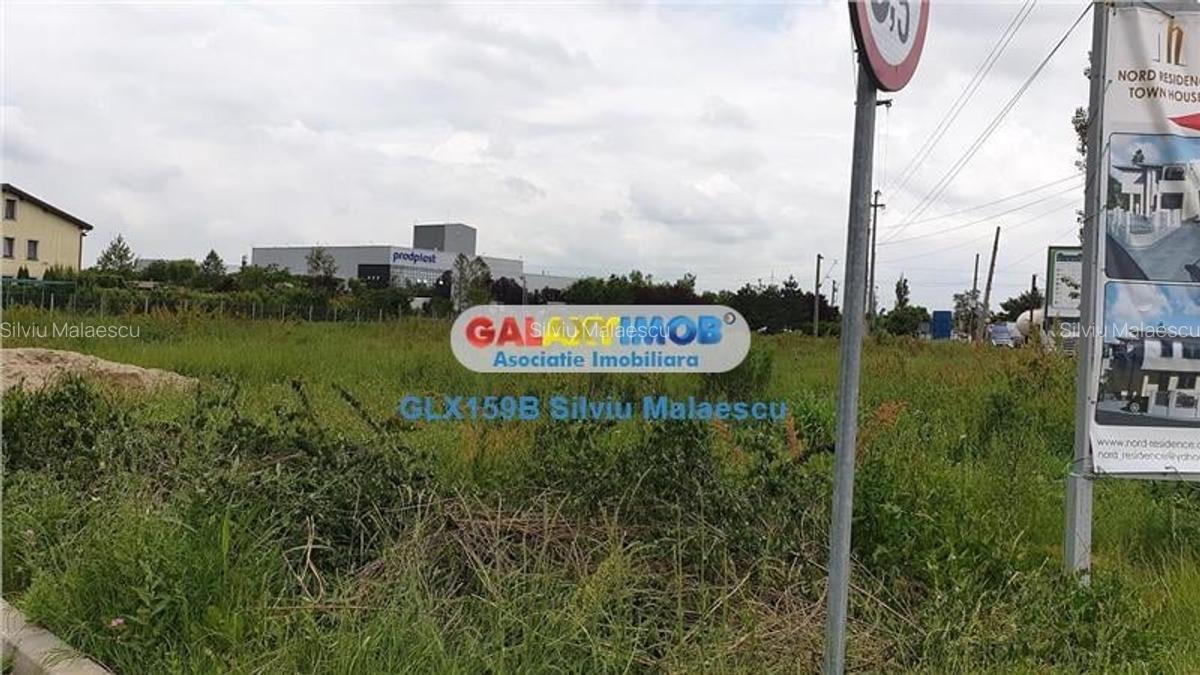 Mogosoaia 2.381 Mp FRF DN1A - 8