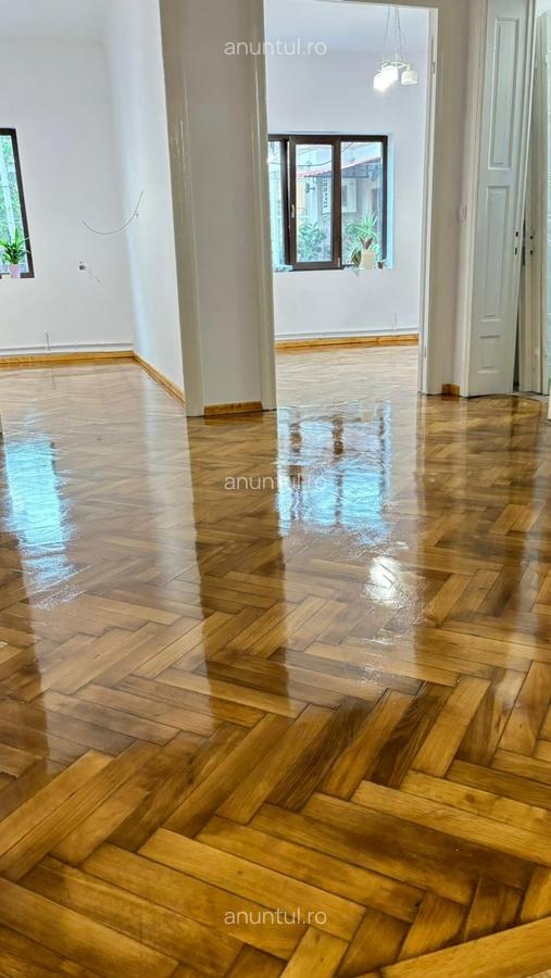 Parcul Carol, Str. Deceneu nr. 8, casa smart spatioasa - 11