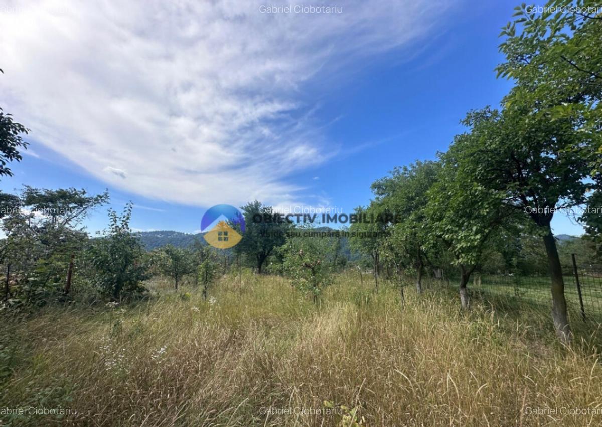 Teren + Casa de Vanzare 1170 mp Dumbrava Ro?ie, N - 6