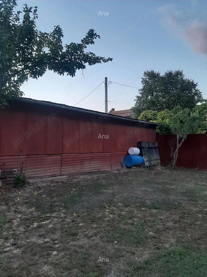 Inchiriere HALA metalica Timi?oara - 8 Inchiriere HALA metalica Timi?oara - 8