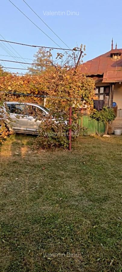 Casa si Teren Intravilan și Extravilan – Sat Diaconești, Pucioasa, Dâmbovița - 10