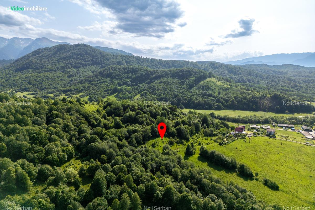 Teren cu vedere superba spre Cheile Rasnoavei, 8800 mp, la marginea pădurii - 4