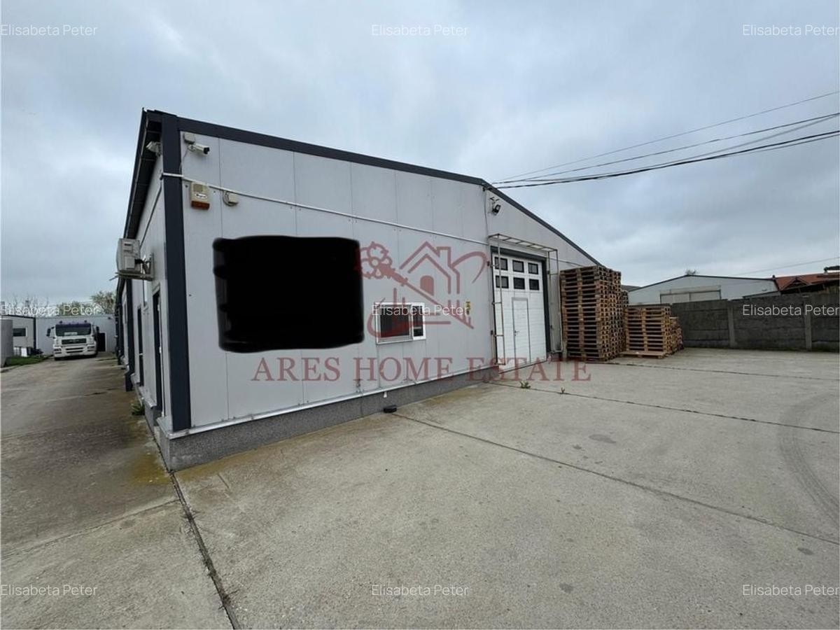 Spațiu industrial, 1200 mp în Bucovăț (Remetea Mare) - 3