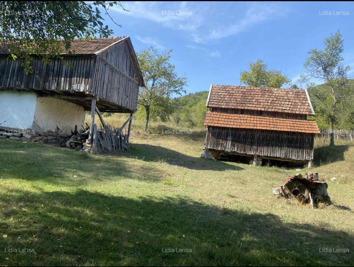 Casa de vanzare+teren - 9