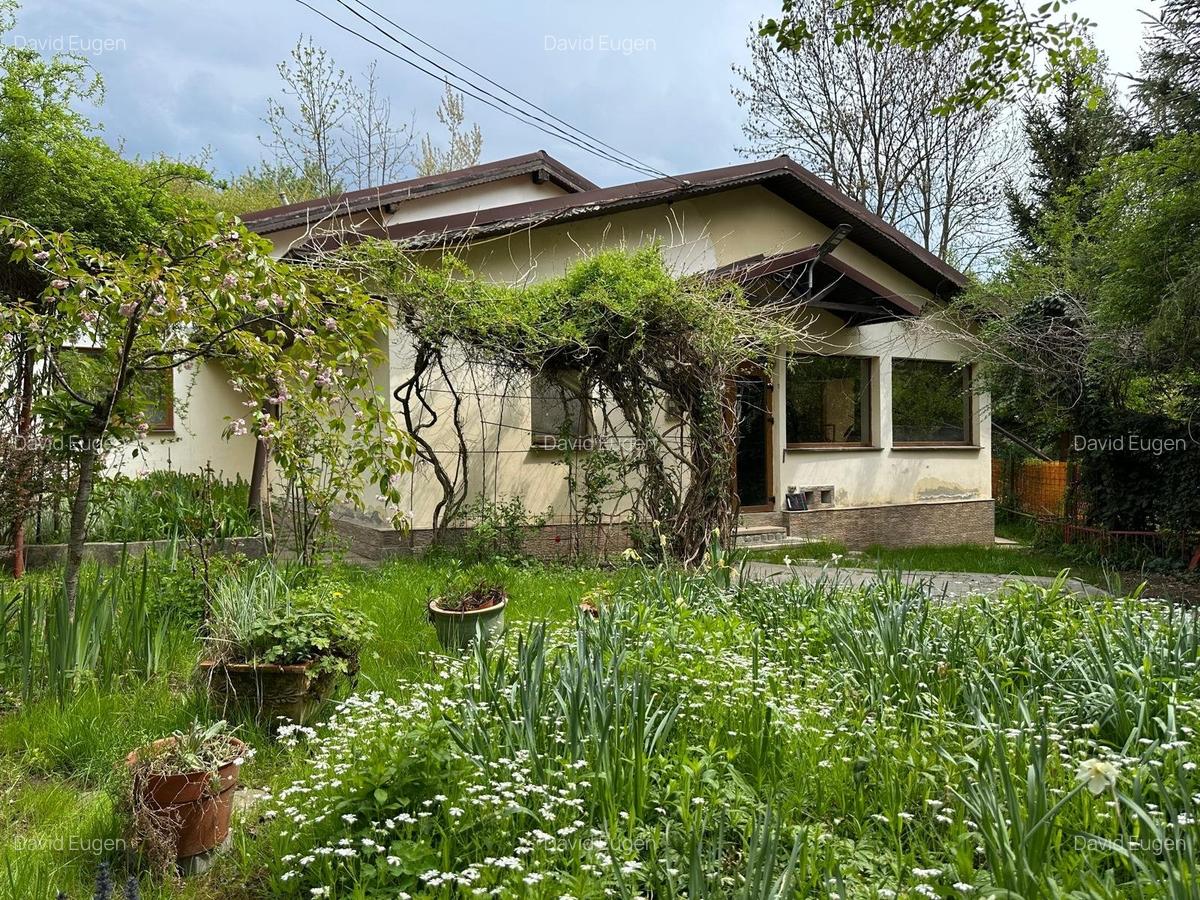 Locuinta de vacanta / rezidentiala - - 1