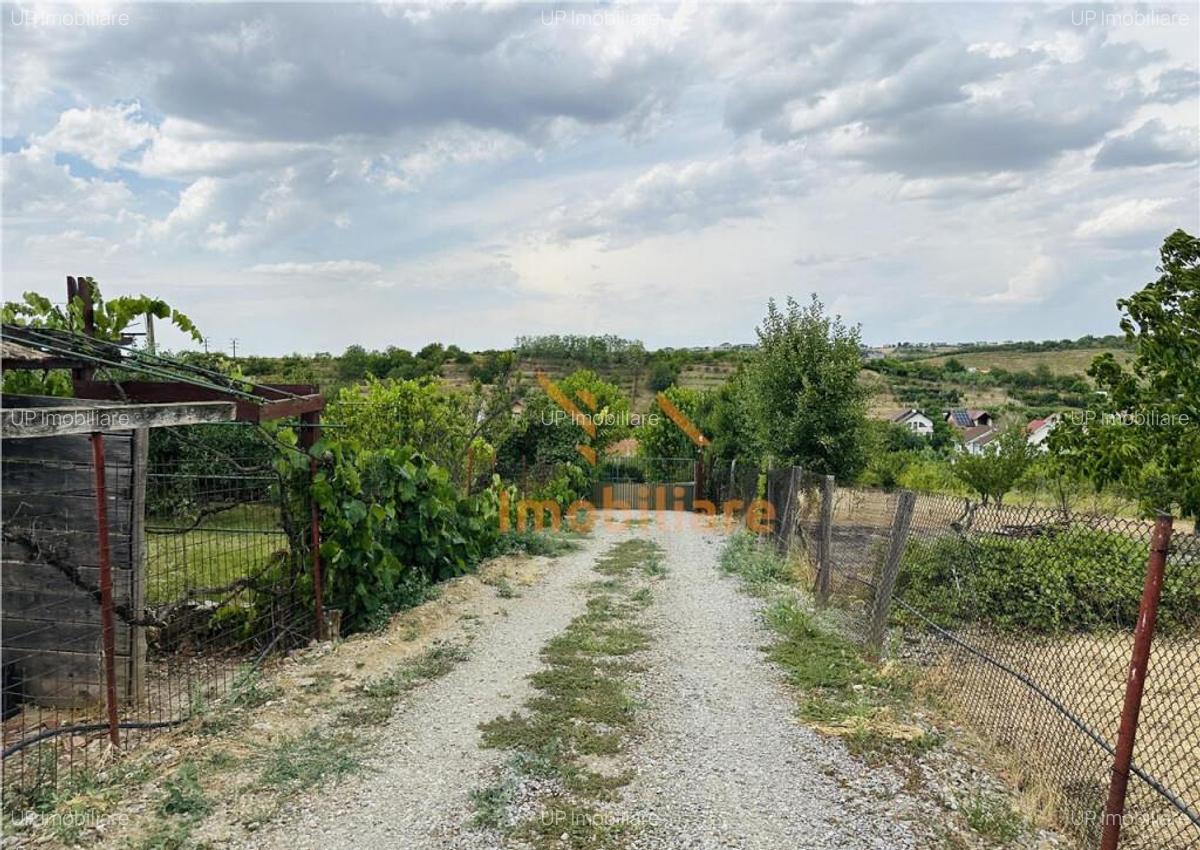 CASA P M | TEREN 2200 MP | STRADA SOFIEI | ZONA DEALURI - 5