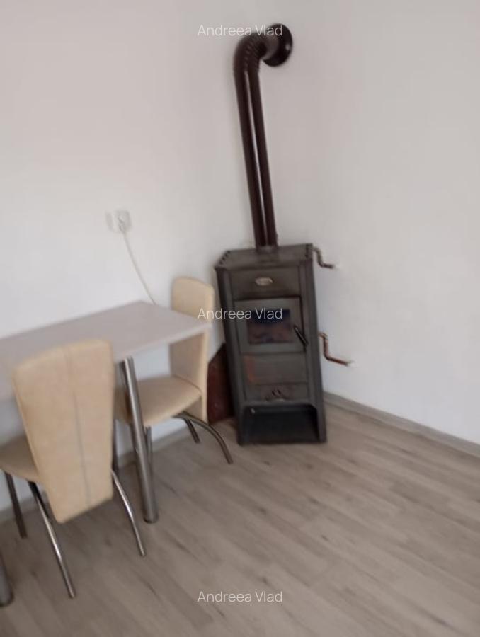 Casa de vanzare in Sacel - 2 corpuri locuibile, 3 bai, gradina, teren generos - 11