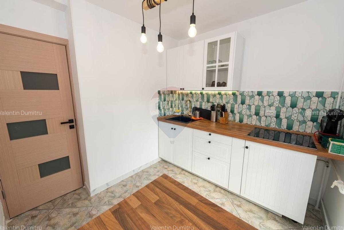 Apartament cu 3 camere de inchiriat Camil Ressu - 4
