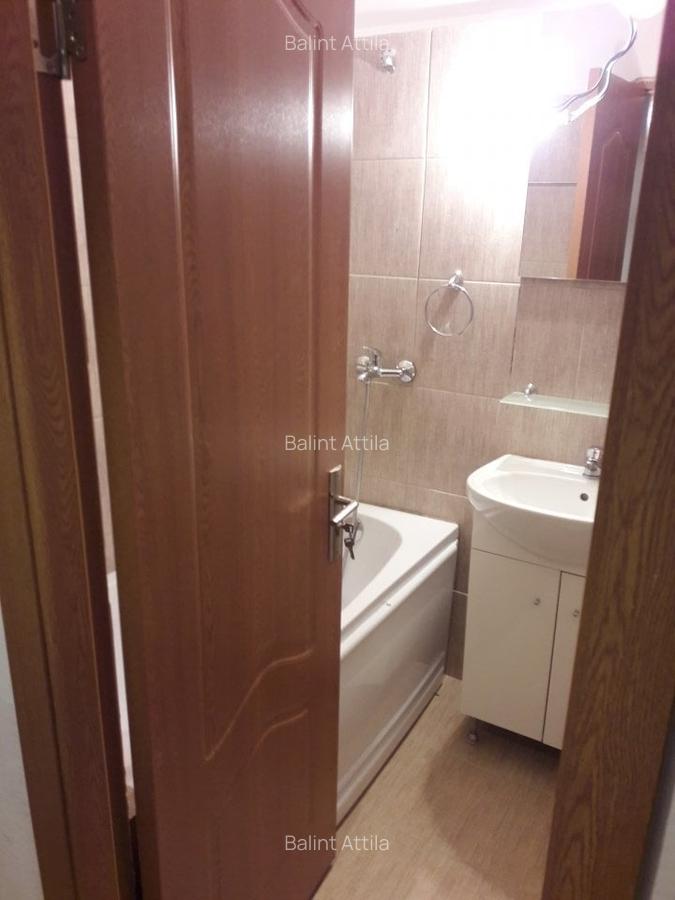 Sagului- Piata Doina 3 camere 400 euro - 7