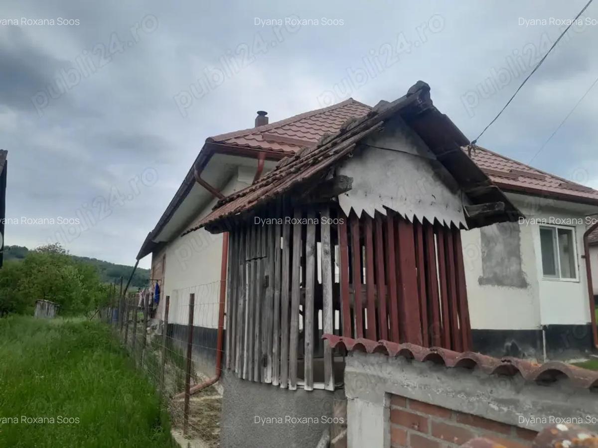 Vand casa - 2