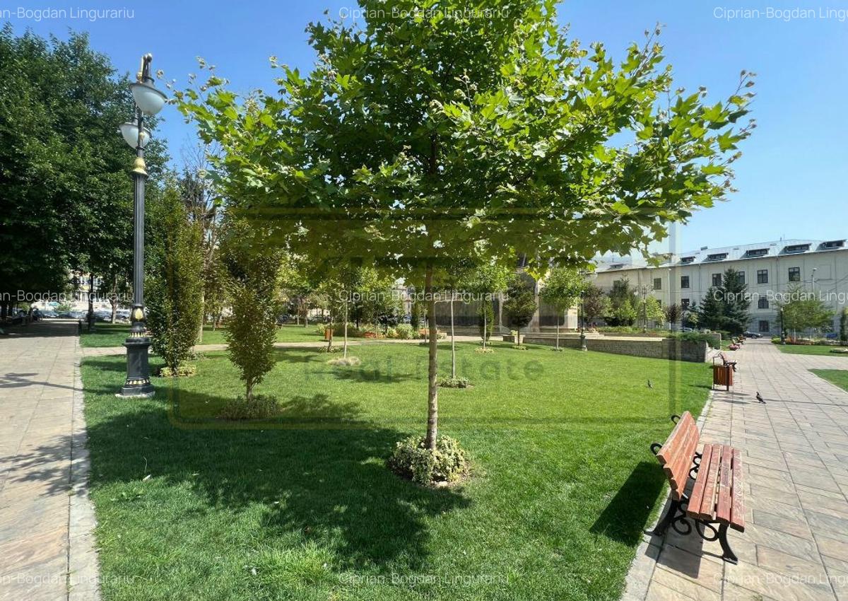 Spatiu de birou/comercial Bd. Independentei - Spiridon - 15