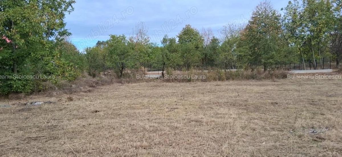 Teren intravilan 835 mp , D - 23 m , zona linistita - 3
