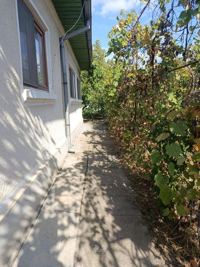 Casă de vânzare în Bilciurești, teren 1171mp, zonă liniștită, ideală pentru fami - 6