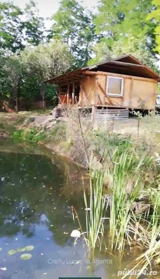 Cabana de vanzare - 2 Cabana de vanzare - 2