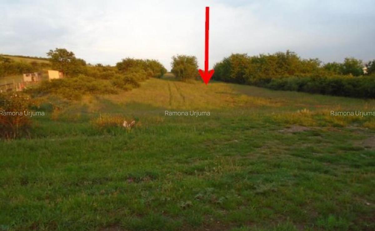 Cota de 3/8 din teren extravilan 5000 mp, Alba-Iulia, Jud... - 5