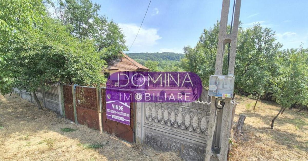 Proprietate in apropiere de complex turistic Mu?ete?ti - 2