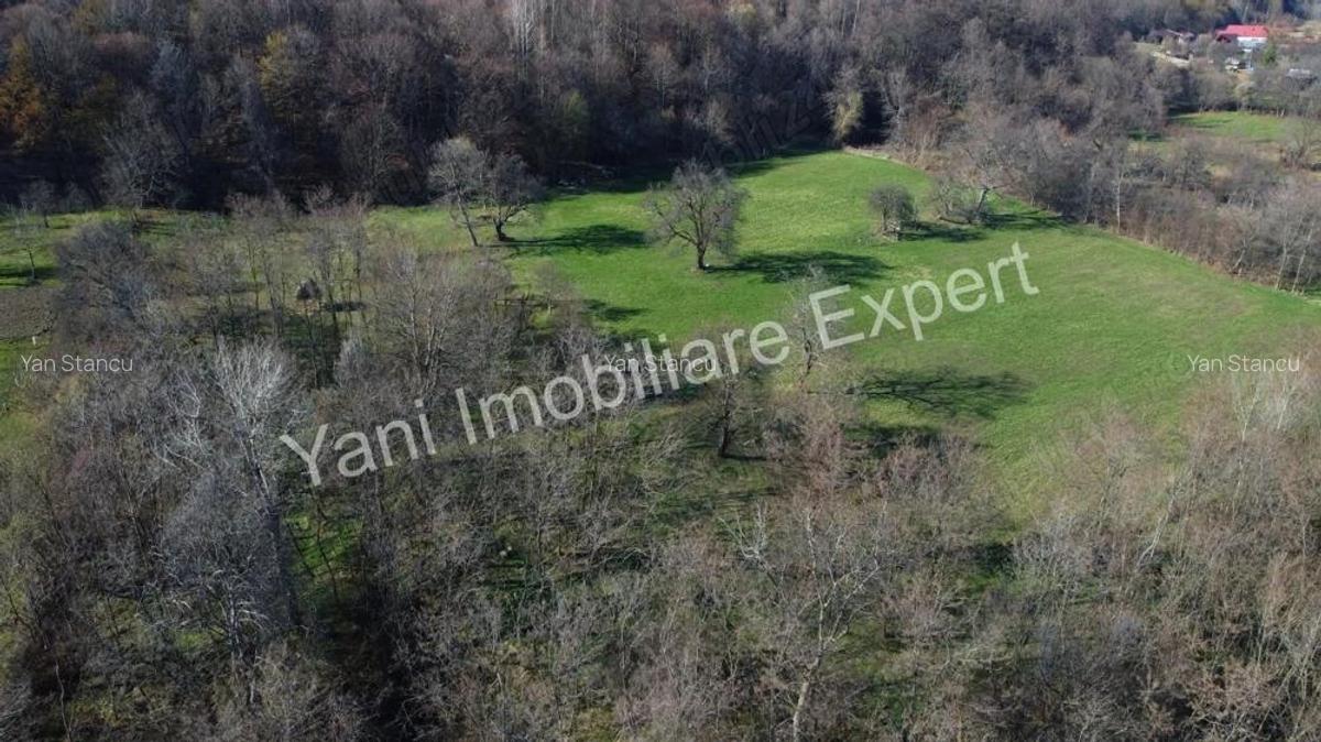 Teren 13.643 mp intravilan de vanzare in Curtea de Arge?. - 18
