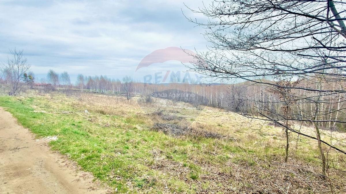 Teren Construcții intravilan de 1622 mp, în Sălicea - 1