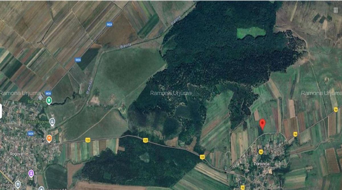 Cota de 1/2 din teren extravilan, comuna Rogova, Jud Mehe... - 2