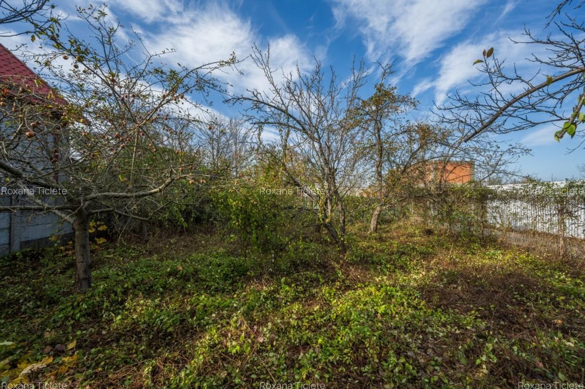 SNAGOV – CENTRAL, CASA 144 MP, LOT 1000 MP! - 26